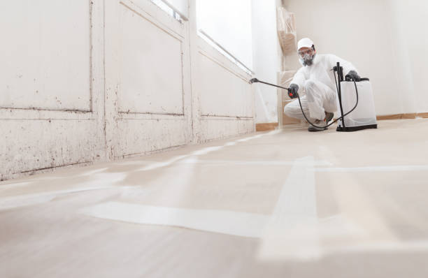24/7 Emergency Basement Mold Remediation experts in Goldsboro, MD